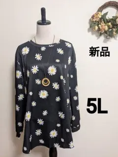 5l