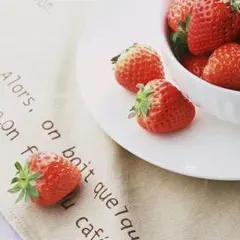 ※芽衣さま専用※ 口金付き二つ折りサイフ バッグのサムネイル