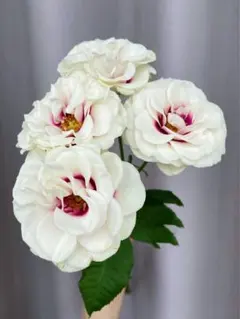 HIRS様 リクエスト 2点 まとめ商品