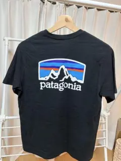 patagonia ブラック Tシャツ バックプリント