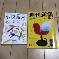 Item thumbnail for item 151d9a40-7047-4c98-9e19-e747a0a159de