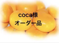 coca様オーダー品5