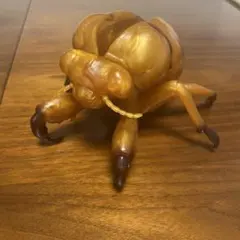 2025年最新】せみ 抜け殻の人気アイテム - メルカリ