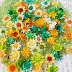 スターフラワーブロッサムヘッド♡ひまわり*ビタミンアソート 30輪以上！！