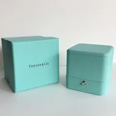 2025年購入 空箱 リングケース ティファニー ペアリング用