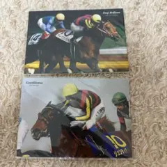 競馬 優勝記念フォト ディープブリランテ ジェンティルドンナ