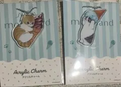 mofusand アクリルチャーム 2種 セットファミリーマート
