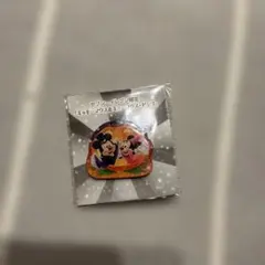 ミッキーマウス&ミニーマウスピンズ