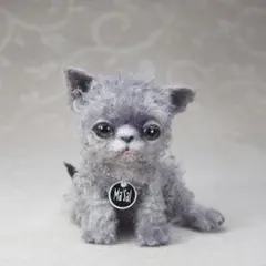 국내 아티스트의 박제 새끼 고양이