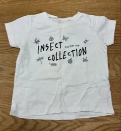 インセクト・コレクション Tシャツ 昆虫 M 100cmのサムネイル