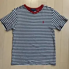 POLO Ralph Lauren ストライプ Tシャツ