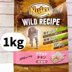 Item thumbnail for item 58f6910a-8f60-4d40-a3d3-ef16d5fa4e17