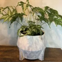 陶器 植木鉢　鉢カバー　プランター　観葉植物　インテリア　北欧風　Lサイズ
