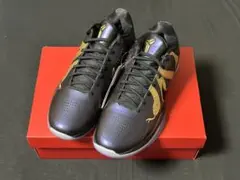 Nike Kobe 5 Protro Year of the Mambaのサムネイル