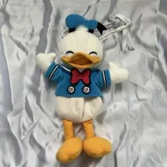 ドナルドダック ディズニーパルパルーザ ショルダーバッグ