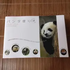 パンダ便りfrom China