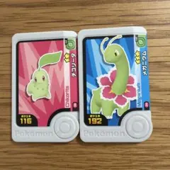 ポケモン フレンダ　ベストタッグ　1弾　チコリータ メガニウム