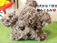 たると様 リクエスト 4点 まとめ商品