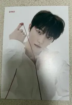 24H フライヤー　ディノ