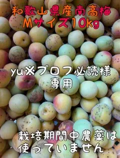 和歌山県紀南産 完熟南高梅6㎏ 秀品 2Lサイズ - メルカリ