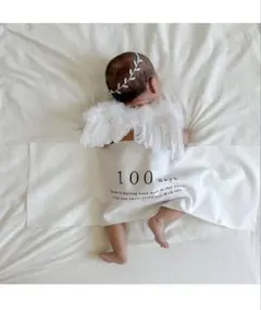 百日祝い お食い初め飾り タペストリー セット☆*。