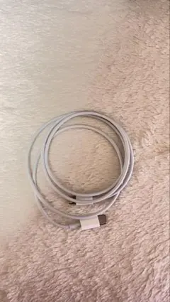 USB-C Lightning ケーブル iPhone充電ケーブル ホワイト