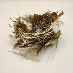 Item thumbnail for item d4a27ea0-8407-46a8-b59d-8619655af694