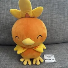 2026年最新】アチャモ☆の人気アイテム - メルカリ