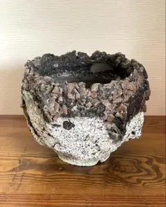 GOAT GODZILLA RED ゴジラ鉢 グラキリス アガベ パキプス - メルカリ
