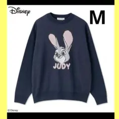 2025年最新】ズートピアセーターの人気アイテム - メルカリ