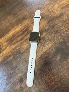 【シルバーステンレス】Apple Watch 5 Cellular 40mm