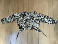 Item thumbnail for item 28a23c87-d6ee-4d3a-b914-3774cccd107b