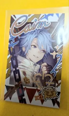 新品】グラブルフェス2025 十賢者 フォト風カード カイムチェキ - メルカリ