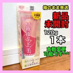 Item thumbnail for item 8c86592f-40ab-4dbb-a35d-bedf2fdfabb4