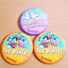 ウォルト・ディズニーワールドHappily Ever After 缶バッジ - メルカリ