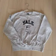 Yale大学 スウェット グレー