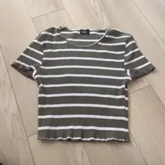dotti 半袖ストライプカットソー M