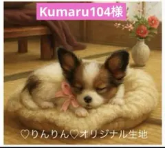 Kumaru104様　パネル生地