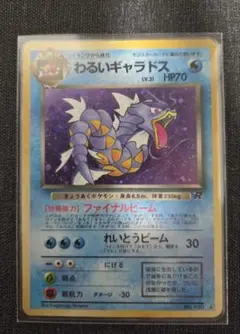 2025年最新】ポケモン／ポケットモンスター カード名：わるい