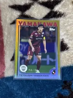 Item thumbnail for item 88bb0a74-4878-4766-80b6-c891d237d9d3