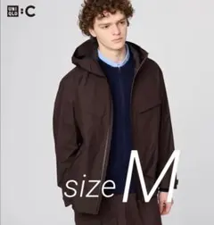 Item thumbnail for item 2b051c52-0126-448a-a116-77ac2362e845