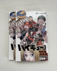 ハイキュー ゴミ捨て場の決戦 映画特典 2冊