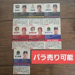 Item thumbnail for item 1958326e-9920-4e23-b609-170b247cae3a