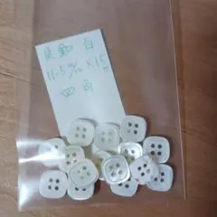 四角形の白貝ボタン 11.5mm x１５個