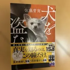 犬を盗む