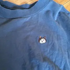 Item thumbnail for item 952d1073-a8eb-4338-87ef-135eddc9ec2c