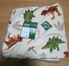 Item thumbnail for item d21b15dc-6f03-4475-89f3-a51d730f5e8d