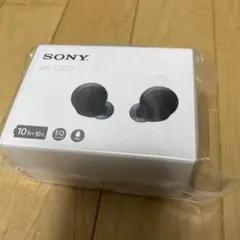 SONY ワイヤレスイヤホン WF-C500 ブラック 本体のサムネイル