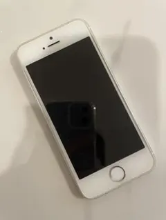 Apple iPhone 5s シルバー 本体 ジャンク品　未解除