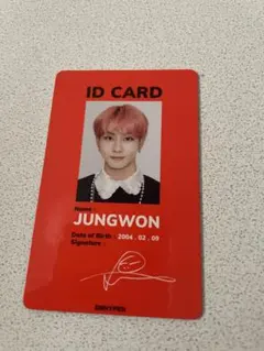 enhypen ジョンウォン IDカード